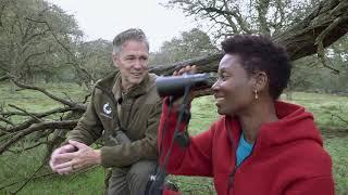 Bronstige damherten in de Amsterdamse Waterleidingduinen | TV | Vroege Vogels