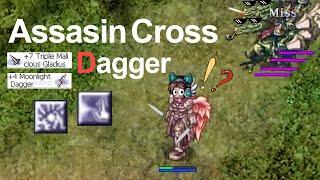 Ragnarok Classic GGT │ Assasin Cross Dagger │ Road to 100 M Zeny | EP.13