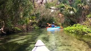 Juniper Springs Canoe Run