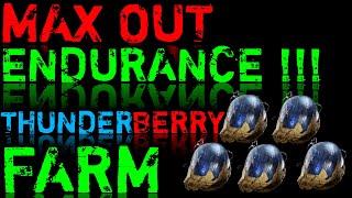 STALKER 2 THUNDERBERRY FARM MAX OUT ENDURANCE