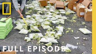 Uncovering Cocaine Hidden in Avocados (Full Episode) | To Catch a Smuggler