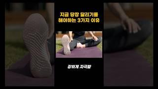 지금 당장 달리기를 해야하는 3가지 이유 | 오늘의 건강 꿀팁! #건강정보