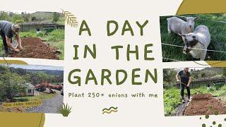 SPRING IN NEW ZEALAND | Let's Kick this Garden into Shape!