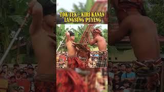 TOK TEK TOK TEK #shortvideo #shorts #pereseanterbaru #pereseanlombokterbaru