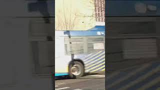 MTA: Q77 Bus Jamaica 165 St Terminal (2019 Novabus LFS Smartbus 8697) - 2/14/2025