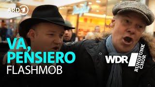 Chor-Flashmob: Verdi - Va, Pensiero - Nabucco | WDR Rundfunkchor