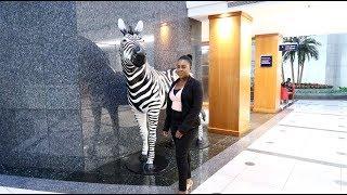 My week at Investec | Weekly Vlog | Christine Gama | South African Youtuber