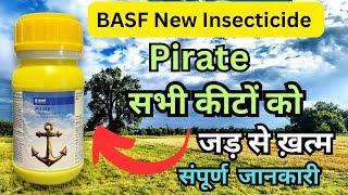 BASF Pirate Insecticide | New Basf Pirate Insecticide | #basf_pirate_insecticide #basf_pirate