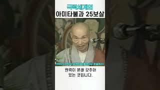 극락세계의 아미타불과 관세음보살 대세지보살 25보살의 원력 #청화스님