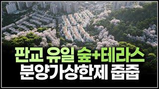 판교신도시 분양가상한제 줍줍, 유일한 숲과 테라스가 있는 중대형 주택