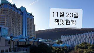 11월 23일 토요일 오전 11시 잭팟현황