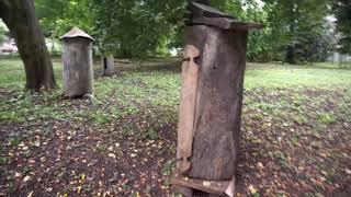 Борті-колоди. Сарненський район. Рівненська область.