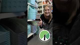 DOLLAR TREE organization hacks!  2024 #dollartree