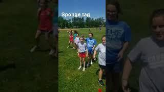 Sponge Tag