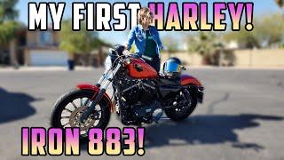 Buying My FIRST Harley Davidson! Used Iron 883 Sportster!