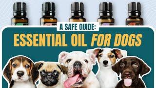  2024 What Essential Oils Are Safe for Dogs? ... And Which Are Toxic⁉️