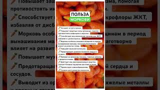 Польза моркови #питание #здоровье #морковь