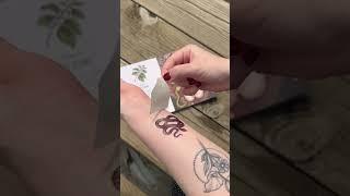 Maia Toll's Wild Wisdom Tattoos: 60 Temporary Tattoos plus 10 Collectible Guided-Ritual Cards