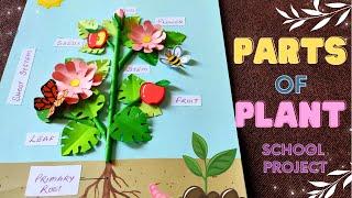  Parts of a Plant  | DIY Parts of a Plant Model School Science Project / Assignment | Science TLM