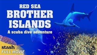 Red Sea: Brother Islands a Scuba Dive Adventure | Wildlife Documentary | Full Movie