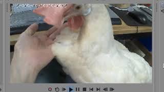 부처님과함께호로로로1