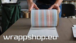 HOW IT'S MADE? M Performance Side Stripes for BMW | wrappshop.eu