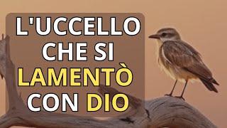 L'uccello che si lamentò con DIO | Meravigliosa riflessione