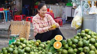 Harvest Orange and bring them to the market sell - cooking | Emma Daily Life