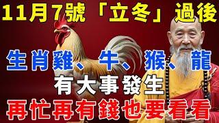 11月7號「立冬」過後，生肖雞、牛、猴、龍有大事發生，再忙再有錢也要看看【禪語明心】#生肖 #運勢 #風水 #財運  #生肖運勢 #生肖運程 #運勢