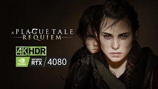 A Plague Tale Requiem [HDR 4k] Жизнь, которую мы заслужили #12