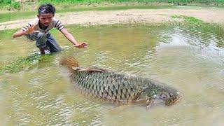 Amazing New Big Fish Catching By Hand | Traditional boy Big Fish Catch By Hand in Drain Mud Water