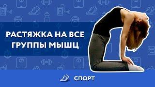 Растяжка для начинающих в домашних условиях
