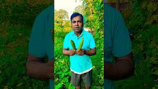 Kisan ki baat per subscribe kardo#short