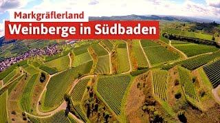 Die Weinberge in Südbaden - am Kaiserstuhl und im Markgräflerland