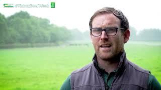 How to install and operate a simple paddock grazing system - Sean Roddy = Virtual Beef Week