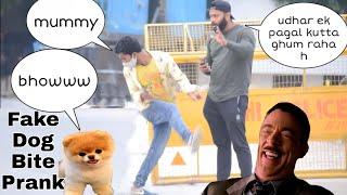 Fake Dog bite prank| ANS Entertainment | INDIA'S number 1 ghost prank channel | pranks in INDIA