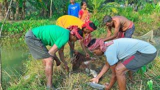 জেঠার ঘেরের  সব মাছ ধরে নিয়ে গেলাম,আড়তে বিক্রি করার জন্য!!!