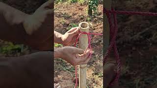 Professional Rope Knot Presentation #Teaching