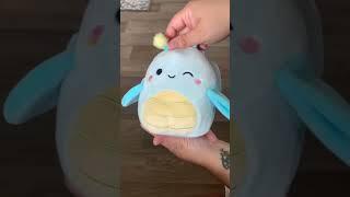 Amazon Squish Box of 10 5inchers  #squishmallows #squishy #plushies #unboxing