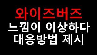 온라인 광고업이 주력인 와이즈버즈 뭔가 이상하다