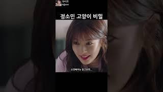 정소민배우 고양이에 얽힌 비밀