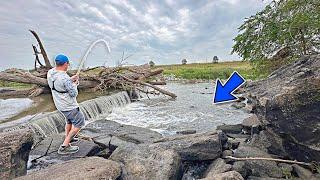 AGGRESSIVE FISH Were Trapped Below This CREEK WATERFALL!!! (One After Another)