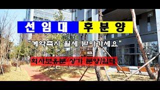 선임대후분양 대박상가 분양