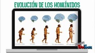 Evolución humana