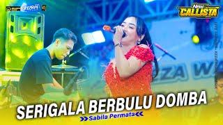 SERIGALA BERBULU DOMBA - Sabila Permata NEW CALLISTA Ft ( FARIS KENDANG ) The Wedding REZA & AYUNDA