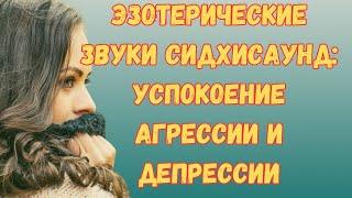 Шум от депрессии и агрессии: эффективные методы борьбы от Андрея Дуйко