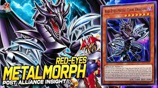 Deck Red-Eyes Metalmorph Post Alliance Insight| Edopro| Replays  + Decklist ️