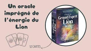 L' Oracle du Grand Esprit Du Lion  de Carole-Anne Eschenazi ( review )