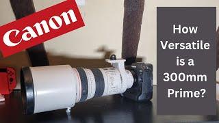 How Versatile is a 300mm Prime - Canon 300mm f2.8 mki