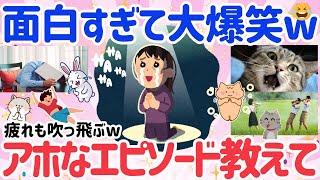 【有益】まとめガルちゃんで声出して笑った投稿教えて!!1番アホなエピソード持ってる人が優勝【はなまるがるちゃんねる】